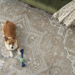 Nourison Astra Machine Washable Vintage Medallion Indoor Rug 19 Nourison Astra Machine Washable Vintage Medallion Indoor Rug -Household Improvement Store GUEST 000743b1 2598 4925 aa8c 706cee1ed8f9