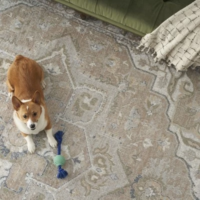 Nourison Astra Machine Washable Vintage Medallion Indoor Rug 11 Nourison Astra Machine Washable Vintage Medallion Indoor Rug - Image 9