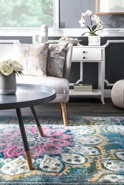 NuLOOM Kiyoko Vintage Floral Area Rug 10 NuLOOM Kiyoko Vintage Floral Area Rug -Household Improvement Store GUEST 0599d9c4 629e 461b a38e 5138e3fb2fe7