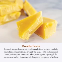 Candle By The Hour 120-Hour Beehive Candle Refill, Eco-friendly Natural Beeswax With Cotton Wick 8 Candle By The Hour 120-Hour Beehive Candle Refill, Eco-friendly Natural Beeswax With Cotton Wick -Household Improvement Store GUEST 1be736d2 98df 44a4 a9c7 7790105f7a35