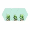 Pineapple Crown Dry Erase Hexagon Peel And Stick Wall Decal Green - RoomMates 1 Pineapple Crown Dry Erase Hexagon Peel And Stick Wall Decal Green - RoomMates -Household Improvement Store GUEST 1cf2f106 ad25 472d 90cf 58ac968adffb