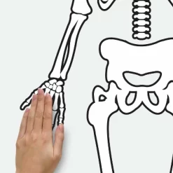 Skeleton Glow In The Dark Peel And Stick Giant Wall Decal White/Black - RoomMates 9 Skeleton Glow In The Dark Peel And Stick Giant Wall Decal White/Black - RoomMates -Household Improvement Store GUEST 24866b24 0d0d 42cf 8ddc ebacee053eb2