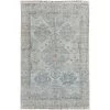 Caldwell Transitional Oriental Area Rug -Household Improvement Store GUEST 339a734b b510 4601 b17c 4452bc216179