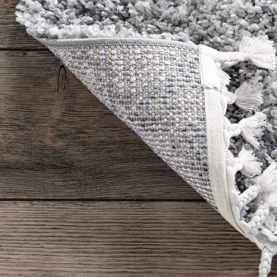 NuLOOM Transitional Regina Shag Area Rug 8 NuLOOM Transitional Regina Shag Area Rug - Image 6