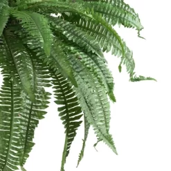 Boston Fern 2pk (48") - Nearly Natural 5 Boston Fern 2pk (48") - Nearly Natural -Household Improvement Store GUEST 75aad55d 9d92 450a bbe6 dd268d31e1be