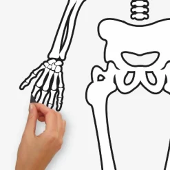 Skeleton Glow In The Dark Peel And Stick Giant Wall Decal White/Black - RoomMates 8 Skeleton Glow In The Dark Peel And Stick Giant Wall Decal White/Black - RoomMates -Household Improvement Store GUEST 7d544213 da7e 41d0 a0ec e179f14a9f62