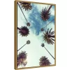 16" X 23" Palm Sky 2 By Design Fabrikken Framed Canvas Wall Art - Amanti Art 1 16" X 23" Palm Sky 2 By Design Fabrikken Framed Canvas Wall Art - Amanti Art -Household Improvement Store GUEST a2fb60d4 f3d8 4e86 850a 5116ec0d6a03