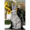 20" X 11" Magnesium Oxide Country Rabbit Garden Sculpture Gray - Olivia & May -Household Improvement Store GUEST b9d6a25a 8b7d 489e b0cd 89b87ddcff69