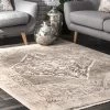 NuLOOM Vintage Cassie Fringe Area Rug 2 NuLOOM Vintage Cassie Fringe Area Rug -Household Improvement Store GUEST bab66c4d ca2e 4796 85f3 eaec58aafefc