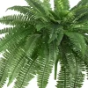 Boston Fern 2pk (48") - Nearly Natural 1 Boston Fern 2pk (48") - Nearly Natural -Household Improvement Store GUEST bc8eb36e 4167 4047 a6b2 68dea100e1ce