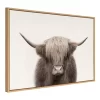 23" X 33" Sylvie Highland Cow Color Framed Canvas By The Creative Bunch Studio Natural - Kate And Laurel -Household Improvement Store GUEST bfd96264 0e3d 44fb 857d 0f261e8a17fd