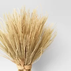 Fall Grass Standing Bundle - Threshold™ 6 Fall Grass Standing Bundle - Threshold™ -Household Improvement Store GUEST c103519e 556f 4239 ad88 469ef01f233a