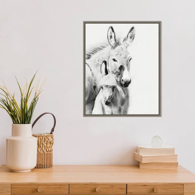 16" X 20" Donkey Portrait V By PH Burchett Framed Canvas Wall Art - Amanti Art 6 16" X 20" Donkey Portrait V By PH Burchett Framed Canvas Wall Art - Amanti Art - Image 4