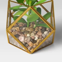 5" X 4" Artificial Succulent Plant With Brass Terrarium - Threshold™ 7 5" X 4" Artificial Succulent Plant With Brass Terrarium - Threshold™ -Household Improvement Store GUEST e581f30b 3349 4561 94cd 4b256f51db66