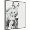 16" X 20" Donkey Portrait V By PH Burchett Framed Canvas Wall Art - Amanti Art 1 16" X 20" Donkey Portrait V By PH Burchett Framed Canvas Wall Art - Amanti Art -Household Improvement Store GUEST ec24eaff 1c06 4be9 be64 8bf8e21168f5